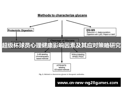 超级杯球员心理健康影响因素及其应对策略研究 超级杯球员心理健康影响因素及其应对策略研究