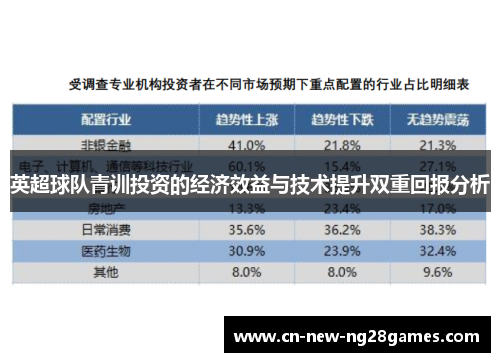 英超球队青训投资的经济效益与技术提升双重回报分析