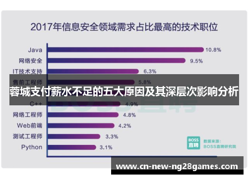 蓉城支付薪水不足的五大原因及其深层次影响分析 蓉城支付薪水不足的五大原因及其深层次影响分析
